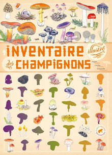 Inventaire illustré des champignons