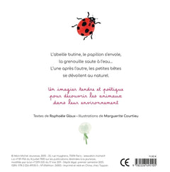 Mon imagier à raconter - Les Petites Bêtes