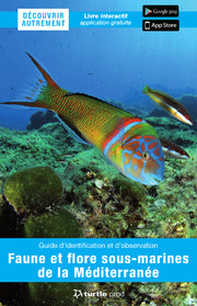 Faune et flore sous-marines de la Méditerranée