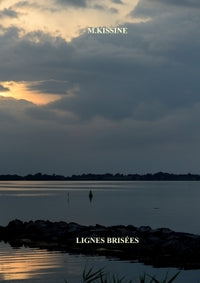 Lignes Brisées