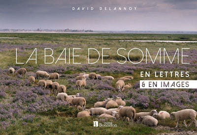 La baie de Somme en lettres & en images