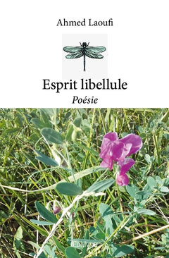 Esprit libellule