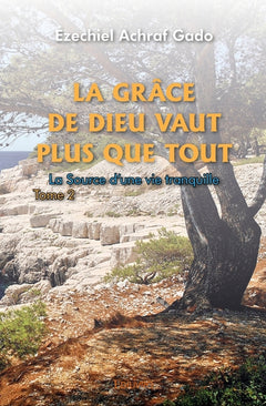 La grâce de Dieu vaut plus que tout - Tome 2