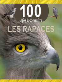 Les rapaces - 100 infos à connaître