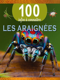Les araignées - 100 infos à connaître