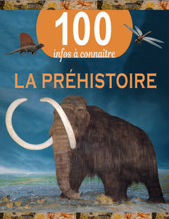 La préhistoire