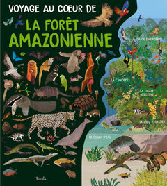 Voyage au cœur de la forêt amazonienne
