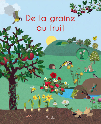 De la graine au fruit