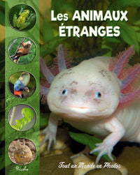 Les animaux étranges et méconnus