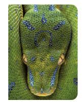 Serpent