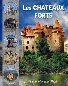 Histoire de la Rome antique