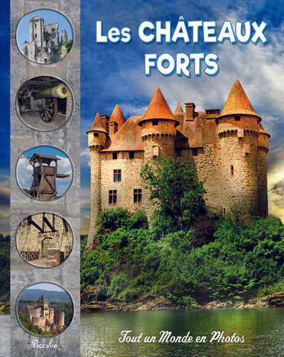 Histoire de la Rome antique