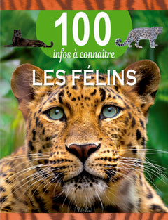 Les félins - 100 infos à connaître