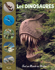 Les dinosaures