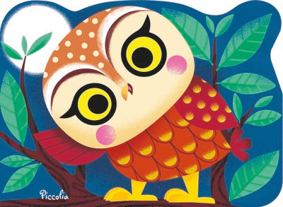 Chouette - Mini animaux