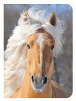 Cheval