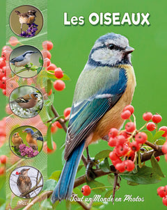 Les oiseaux