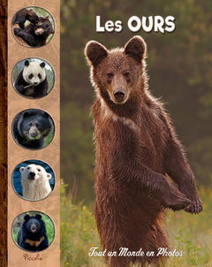 Les ours