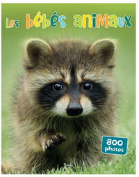 Les bébés animaux 800 photos