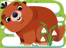 Marmotte - Mini animaux