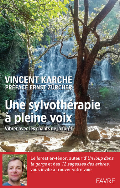 Une sylvothérapie à pleine voix - Vibrer avec les chants de la forêt