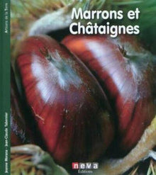 Marrons et châtaignes