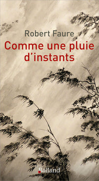 Comme une pluie d'instants