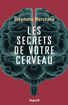 Les secrets de votre cerveau