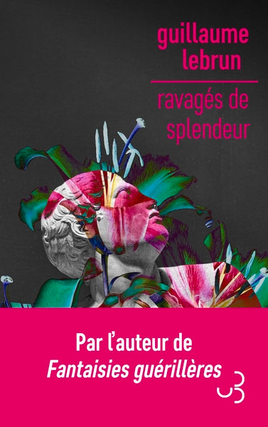 Ravagés de splendeur