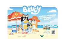 COLIS 36 EX + PANNEAU BLUEY MAI 2025