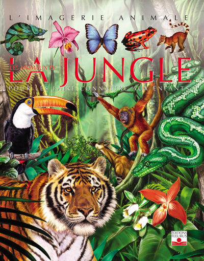 Les Animaux de la jungle : Pour les faire connaître aux enfants