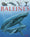 Les baleines