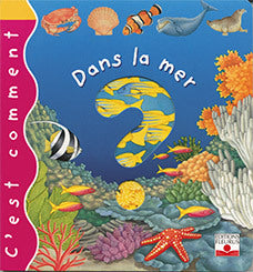 Dans la mer