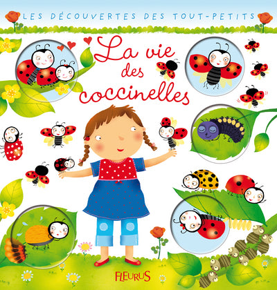 Vie des coccinelles