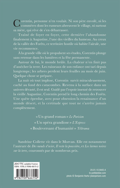 Et toujours les Forêts