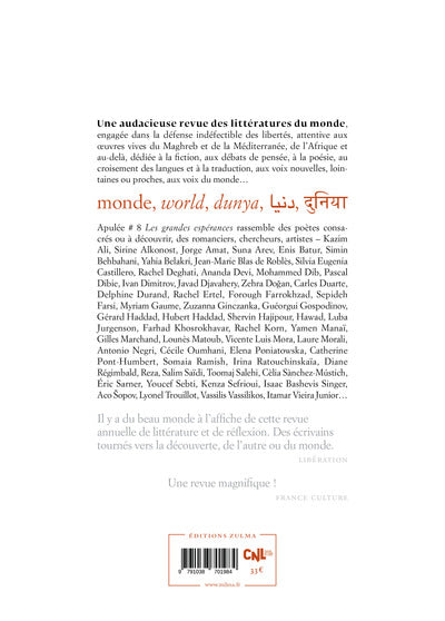 Les Grandes Espérances