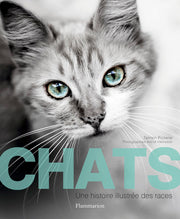 Chats