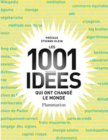Les 1001 idées