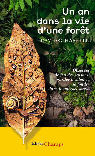 Un an dans la vie d'une forêt