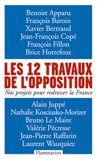 Les 12 travaux de l'opposition