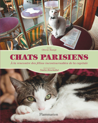 Chats parisiens