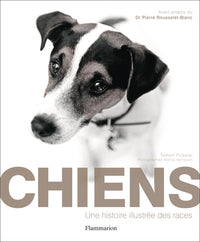 Chiens