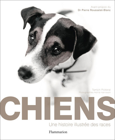 Chiens