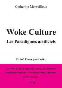 Woke culture, Les Paradigmes artificiels