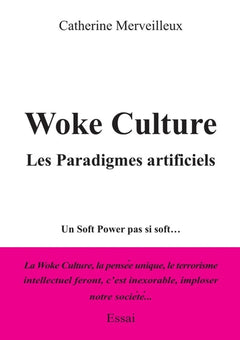 Woke culture, Les Paradigmes artificiels