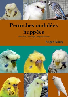 Les perruches ondulées huppées selection - élevage - reproduction