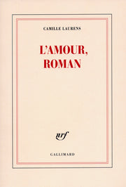 L'amour, roman