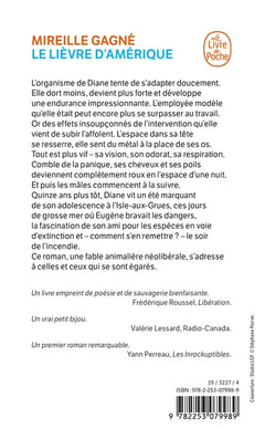 Le lièvre d'Amérique