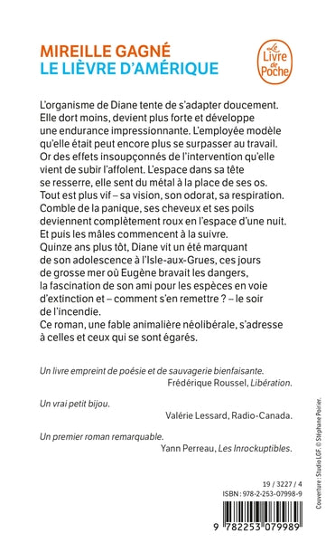 Le lièvre d'Amérique