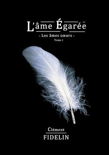 L'âme égarée